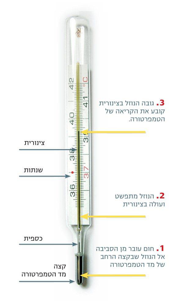 (בספר תמונה של מד טמפרטורה והסבר על חלקיו השונים)